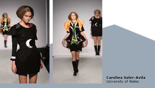 Carolina Soler-Avila, University of Wales